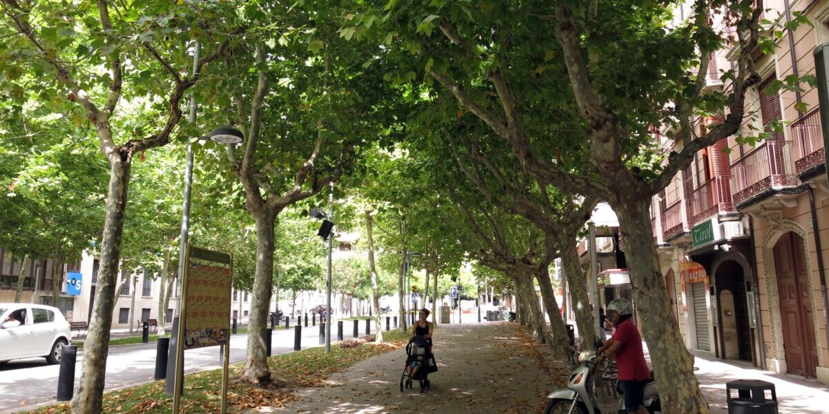 rambla trànsit zona verda centre vila